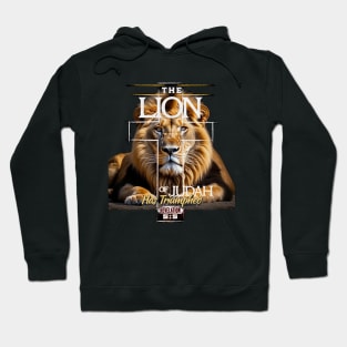 the Lion of Judah Has Triumphed Hoodie